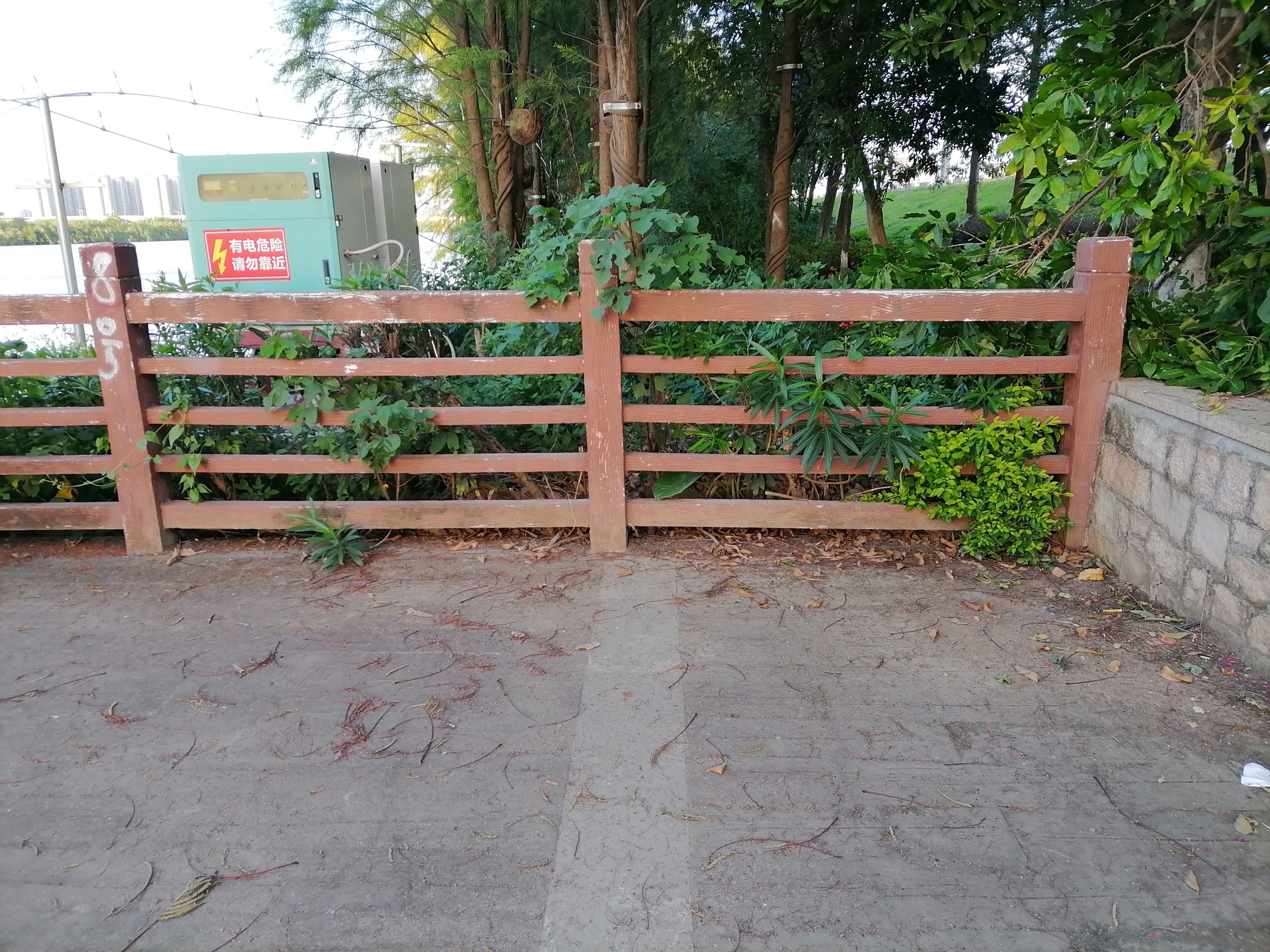 顺德北滘堤围游记