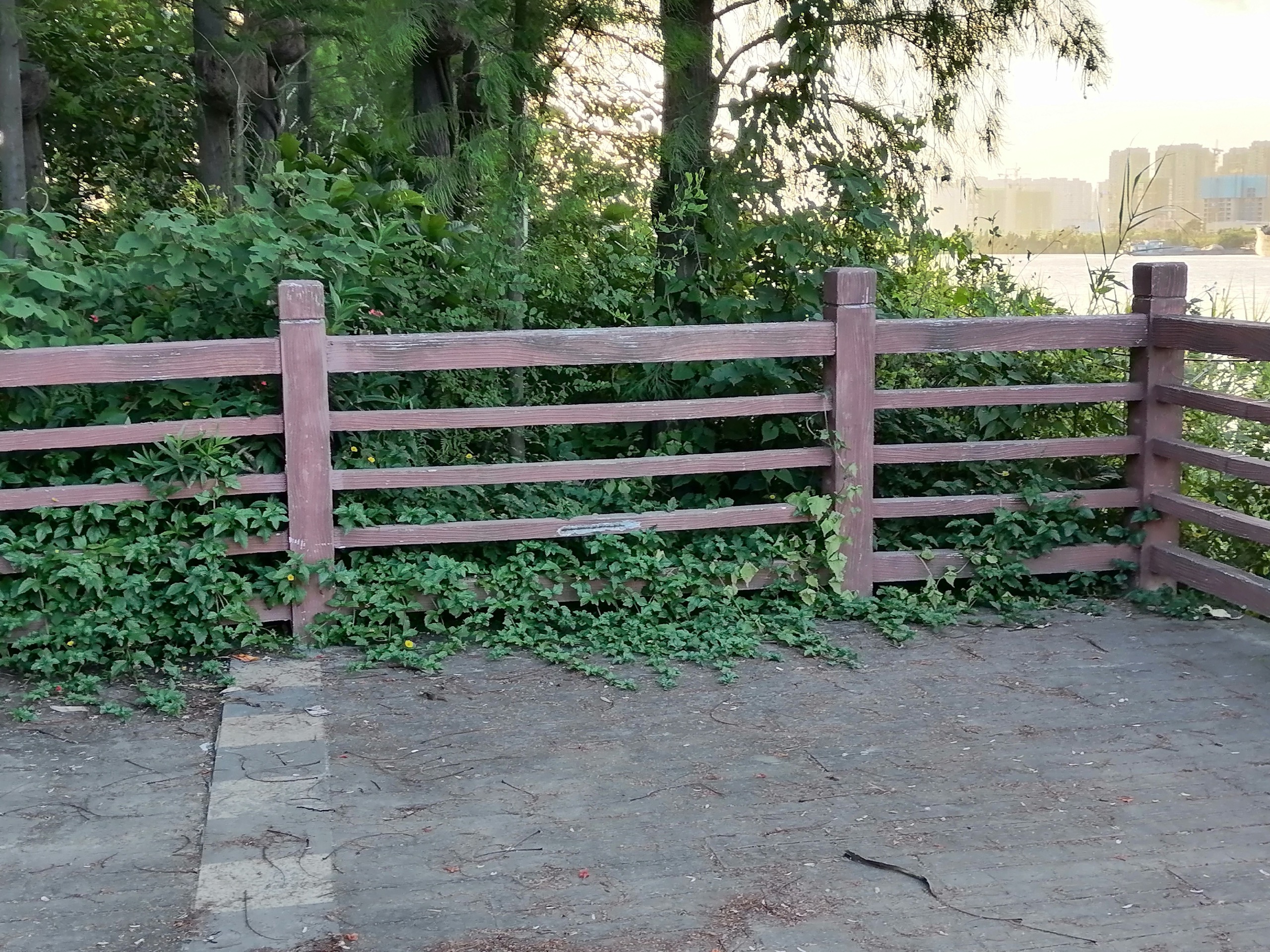 顺德北滘堤围游记