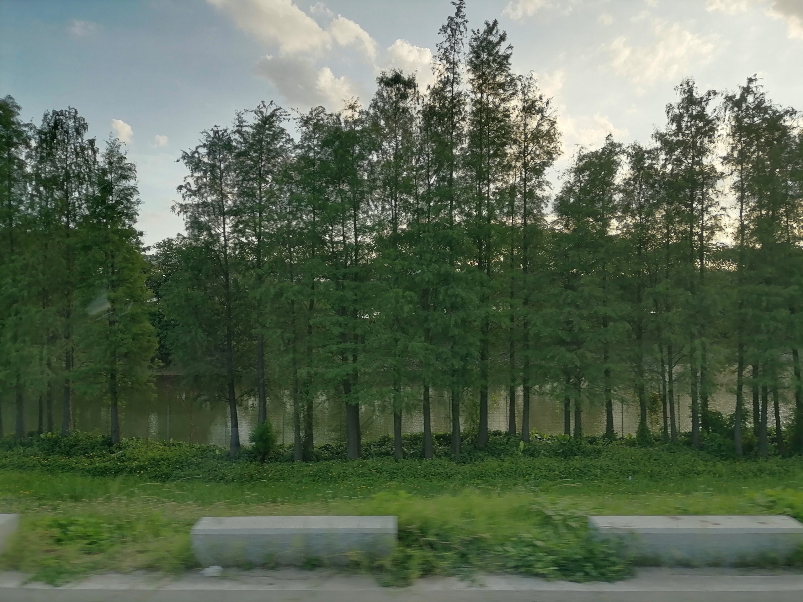 避雷避雷！北滘堤围！