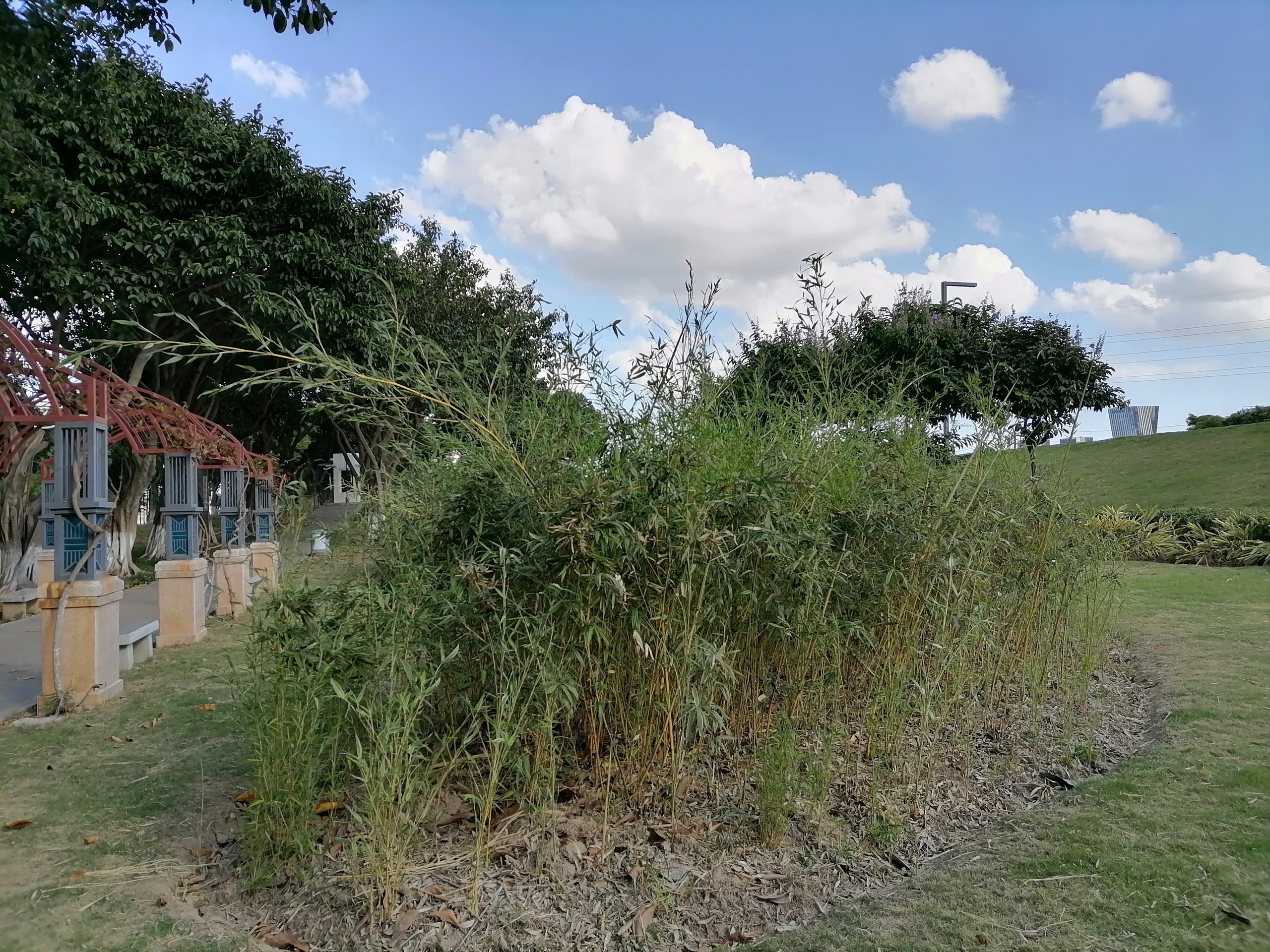 顺德北滘堤围游记